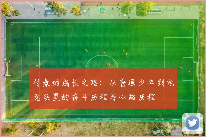 付豪的成长之路：从普通少年到电竞明星的奋斗历程与心路历程